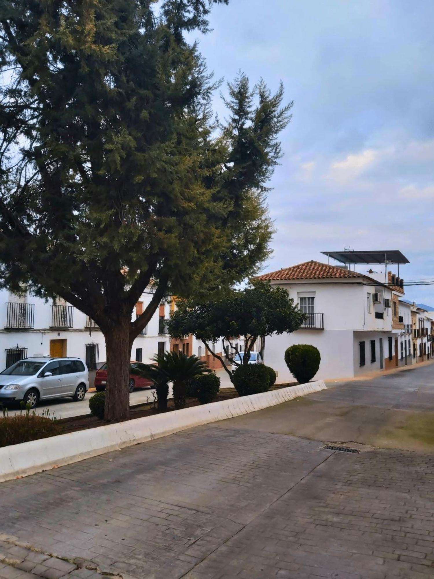 Arcadia Centro De Andalucia Villa Encinas Reales Exteriör bild